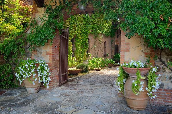 Eggers, Julie 아티스트의 Italy-Tuscany Courtyard of an agriturismo near the hill town of Montalcino작품입니다.